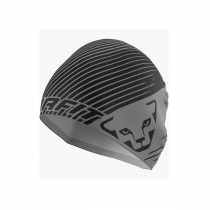 Dynafit Performance 2 Beanie - Alloy