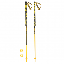 Grivel trail one ski poles