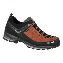 Salewa MTN Trainer 2 GTX - Autumnal/Black 